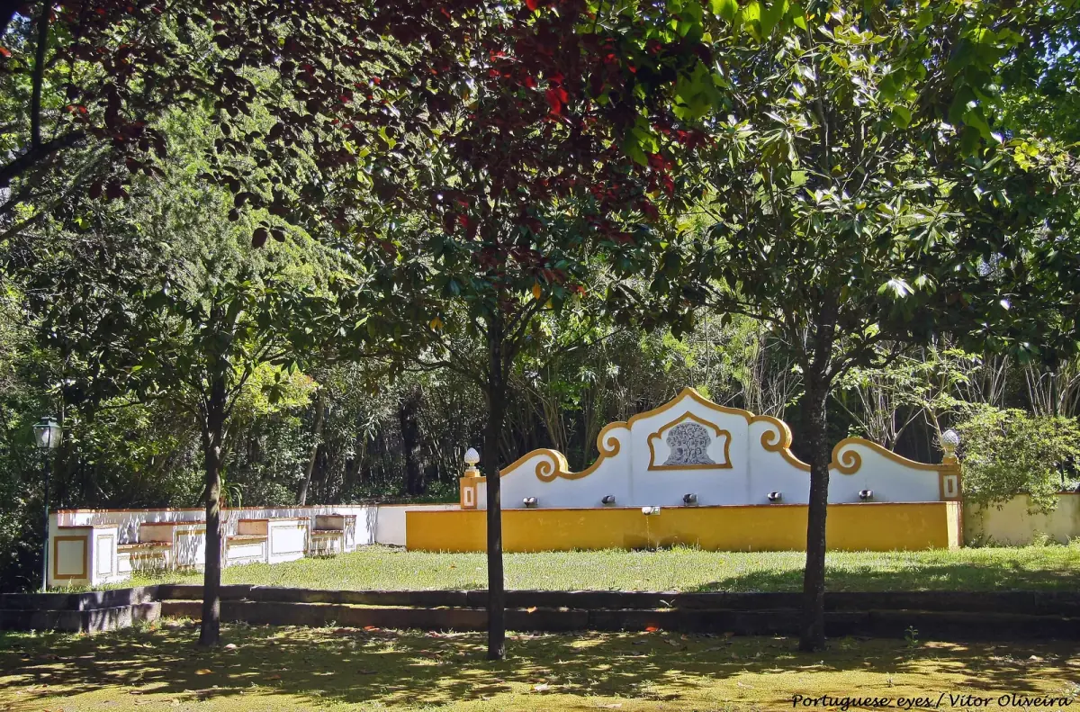 Setúbal Wine Tasting: Two Cellars, Half Day
