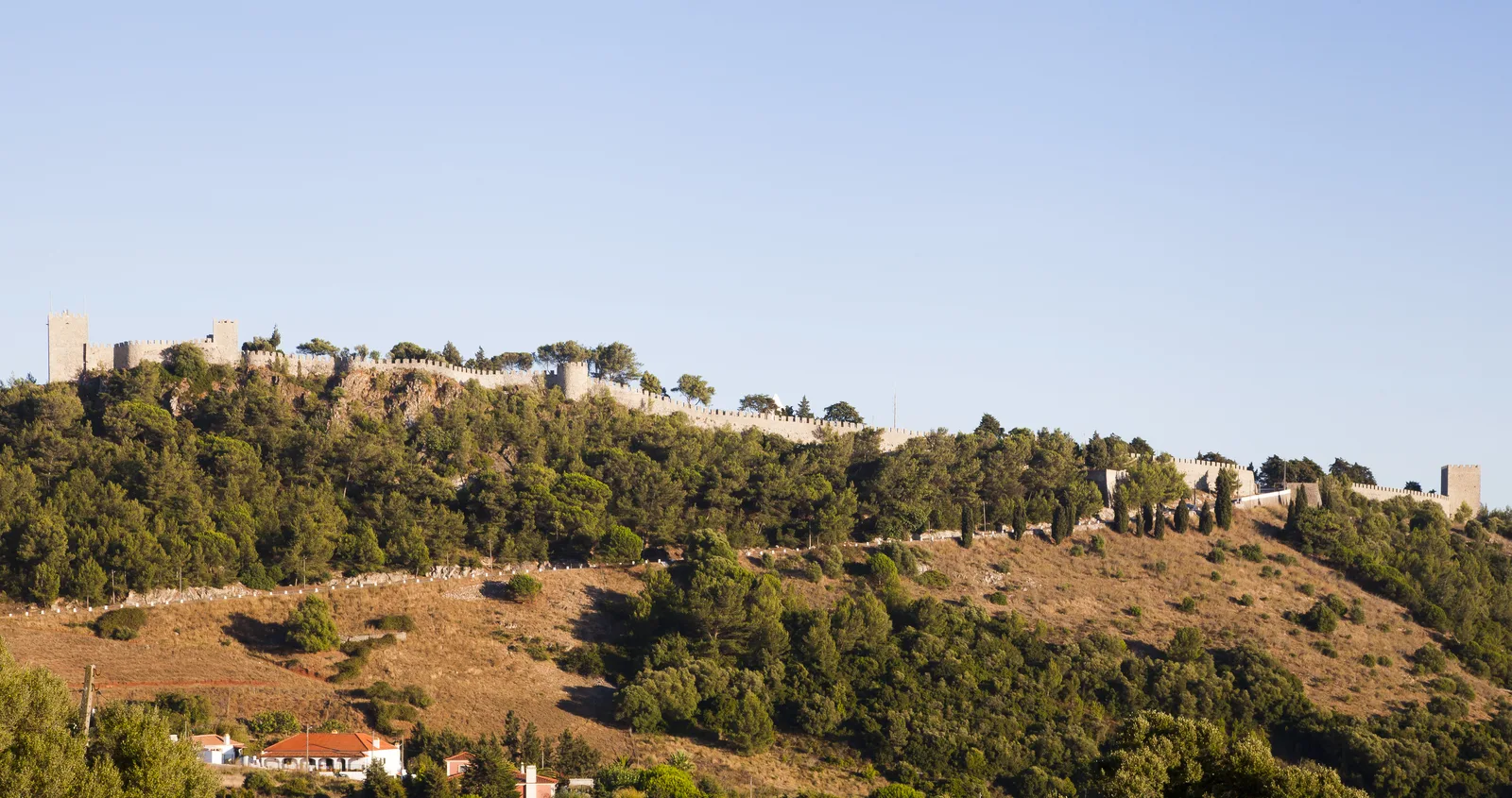 Sesimbra & Wine — Full-Day Private Tour