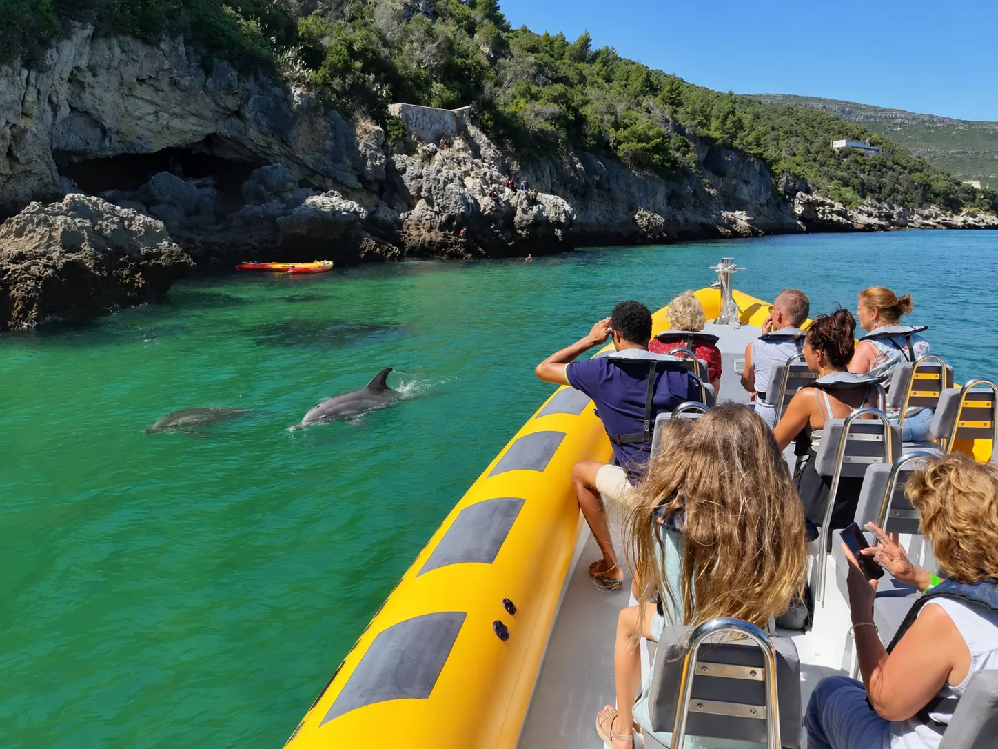 Setúbal e Tróia: Observação de Golfinhos e Baías da Arrábida