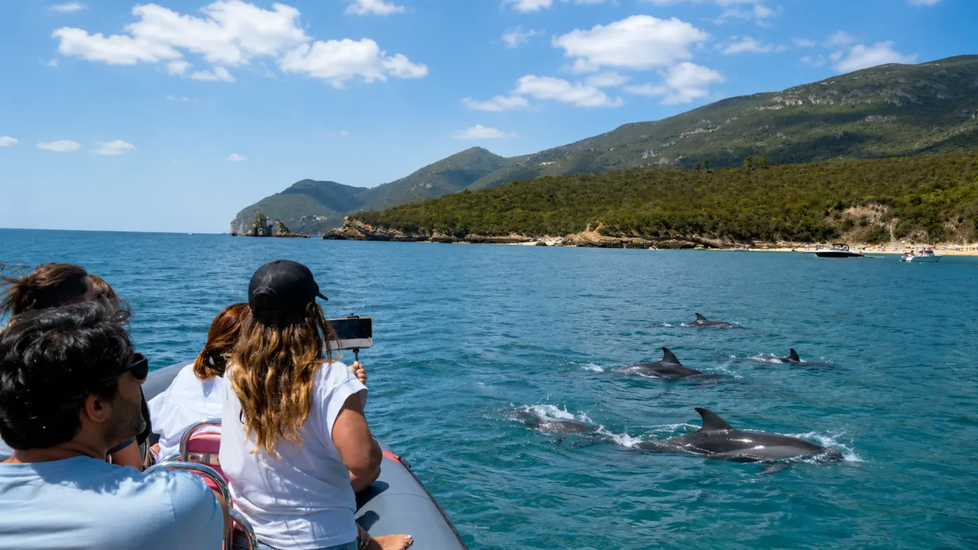 Setúbal: Dolphin-Watching Boat Tour